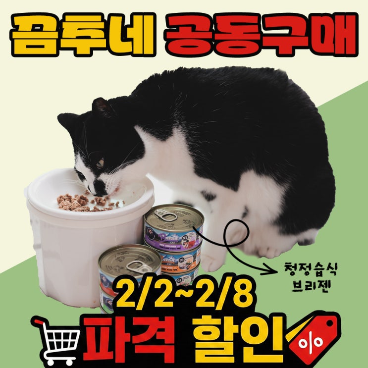  공동구매 오픈 입짧은 끔추가 완밥한 기적의 습식! 브리젠 역대급 최저가(2/2~2/8)