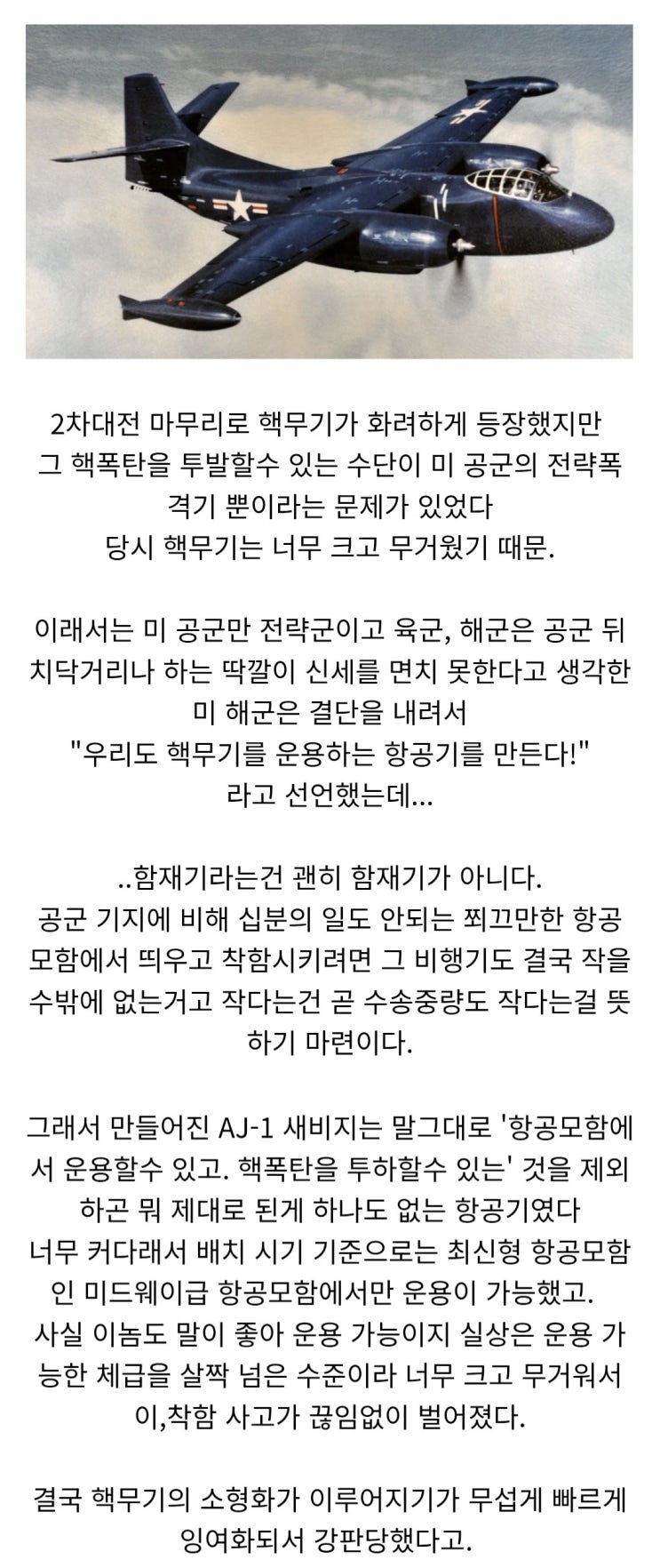  미 해군의 열등감이 만들어낸 항공기.jpg