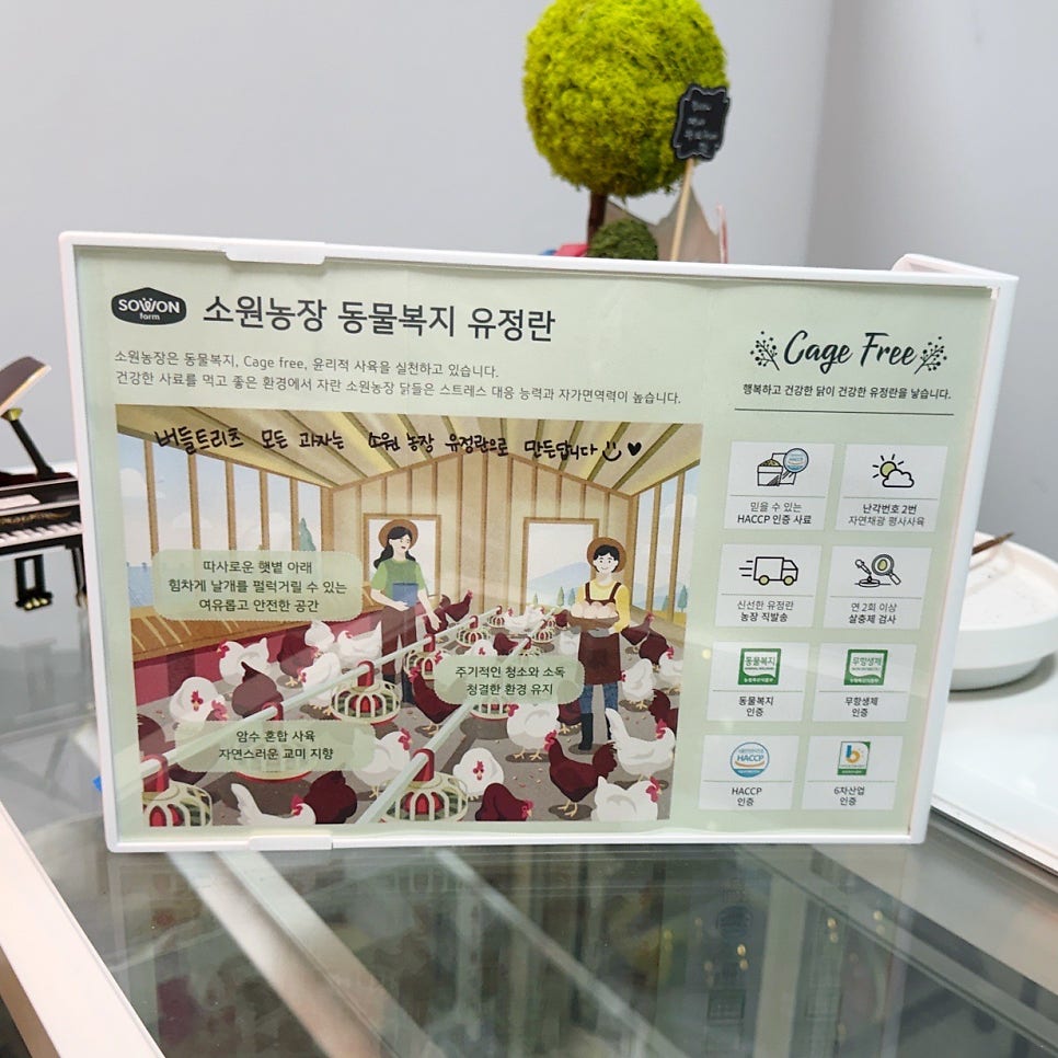 버들트리츠 사진 4