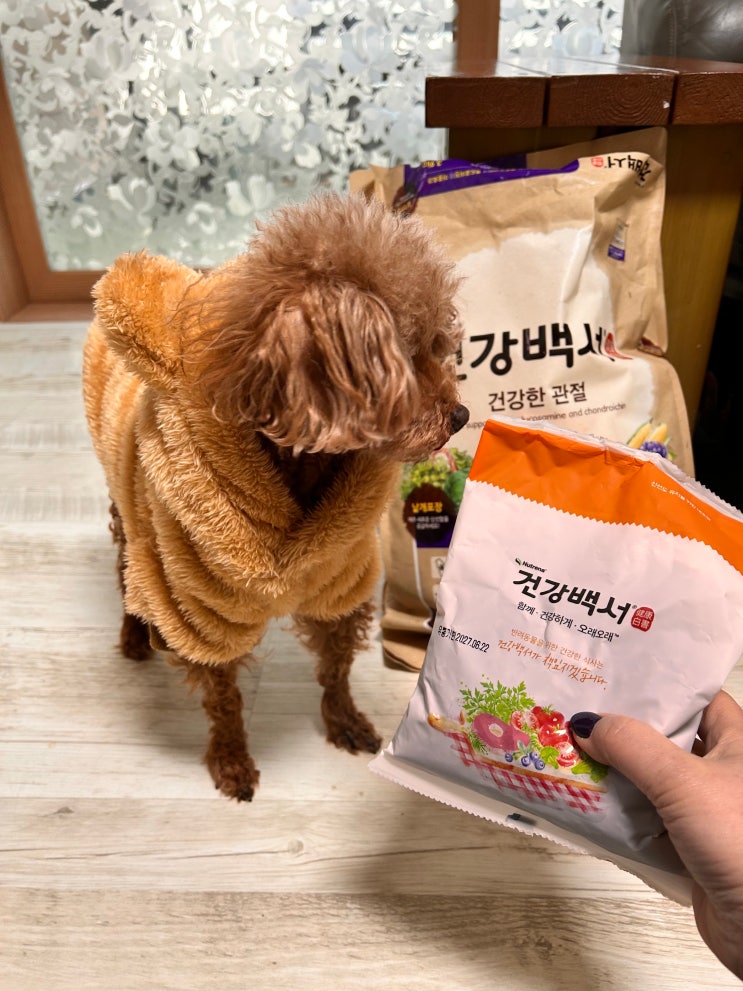  강아지 관절 사료 추천 건강백서 건강한 관절 우면동물병원 처방사료 만큼 든든해요