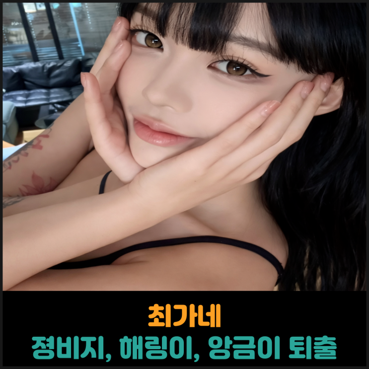  최가네 졍비지, 해링이, 앙금이 퇴출