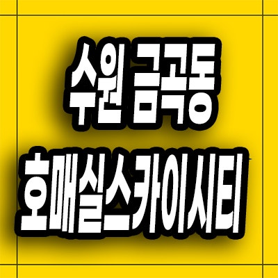  수원 금곡동 오피스텔 미분양 호매실역 스카이시티 투룸 잔여세대