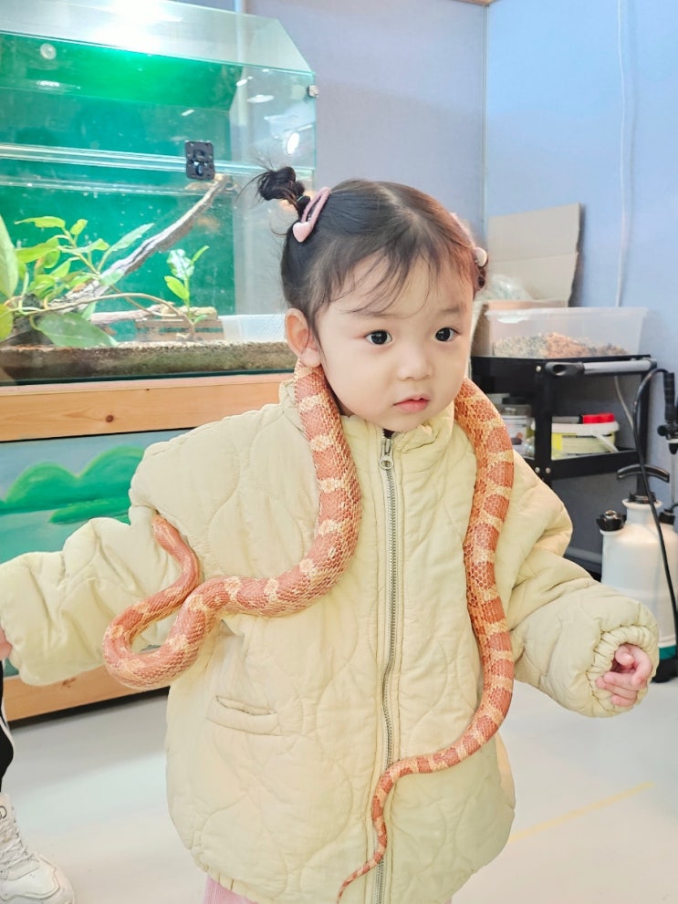  구미실내동물원 다솜생태관 아이랑 보고 듣고 만지는 생물체험 생생후기
