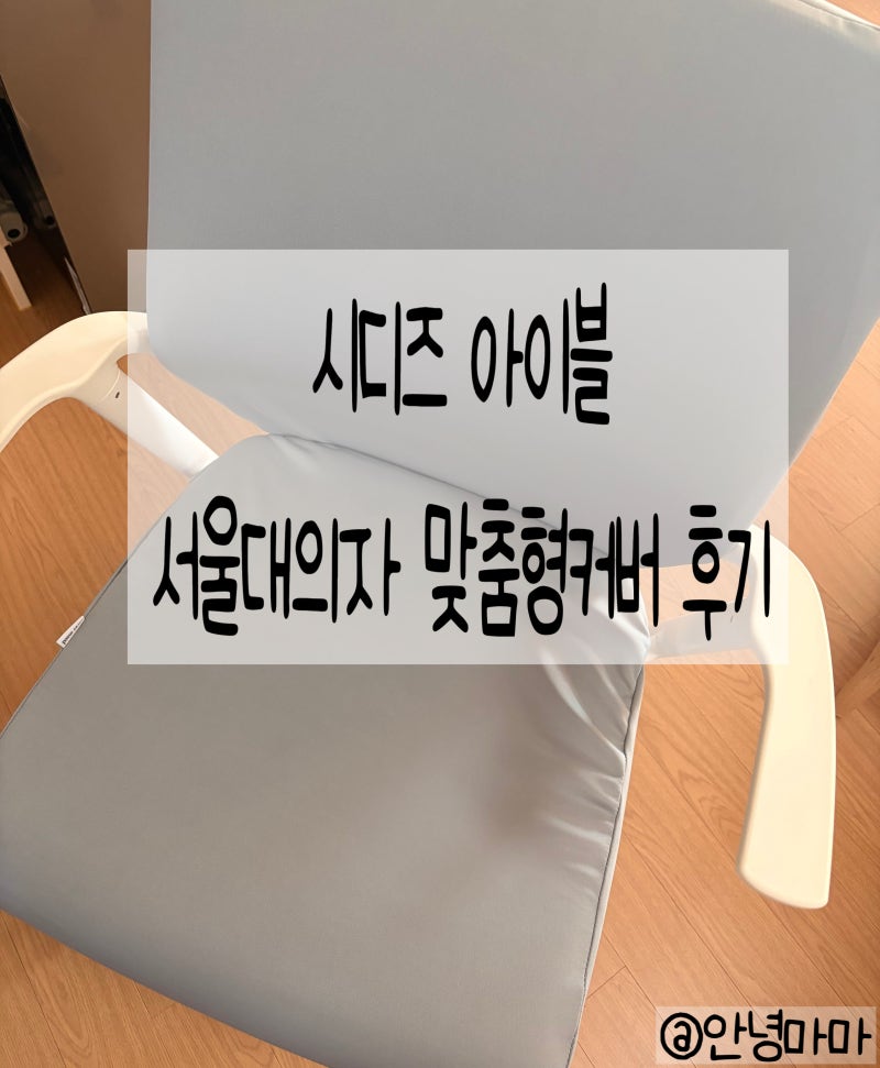 시디즈 아이블 서울대의자 커버 *