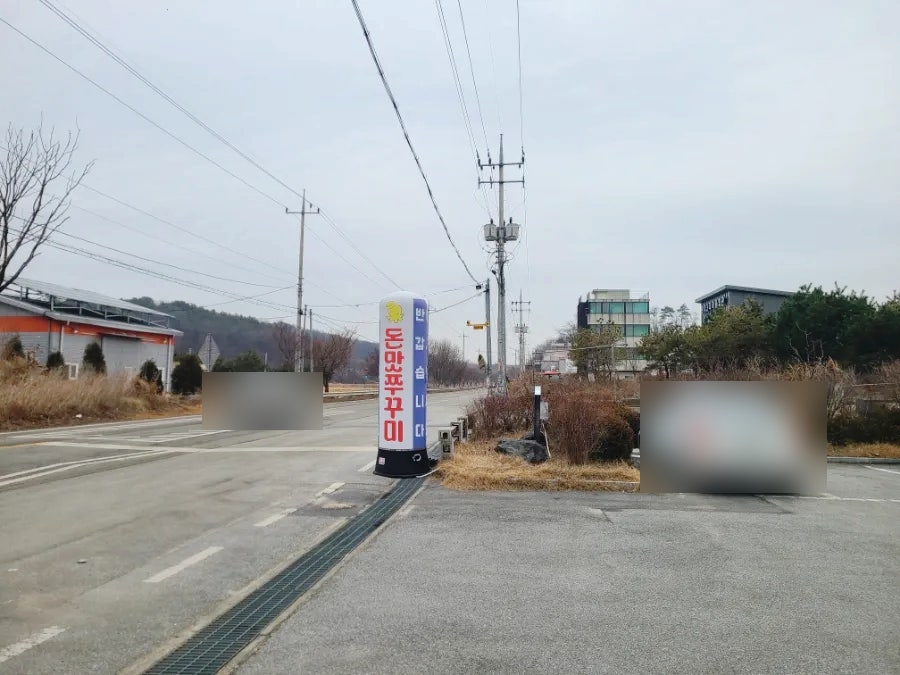 돈맛쭈꾸미 사진 2