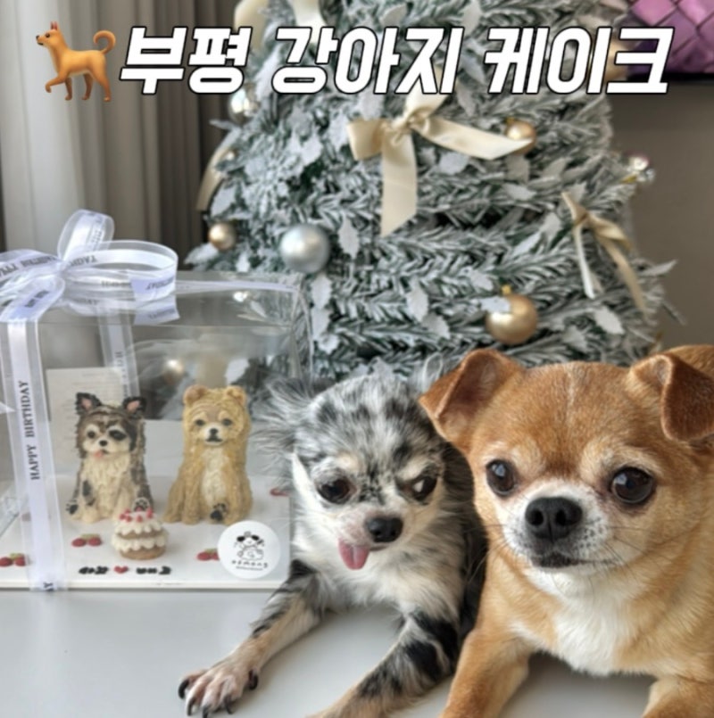 사진 3