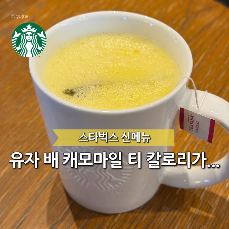  1월 신메뉴 이후 조용히 입소문 난 스타벅스 유자배 캐모마일 블렌드 티