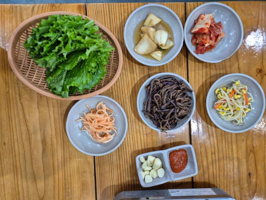 고망딱새 사진 3