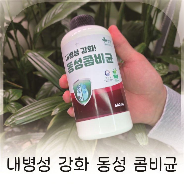  병해충 걱정 줄여준 콤비균, 농약대체제로 선택한 동성바이오 콤비균