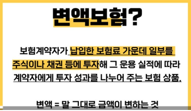  변액보험 가입전 반드시 확인해야 할 '사업비'와 관리 전략