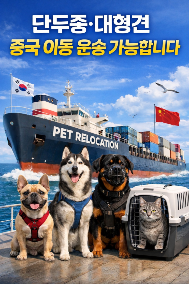  강아지 고양이 중국 운송 검역 단두종·초대형견 중국 보내기｜티켓 접수처 안내 (청도·웨이하이)