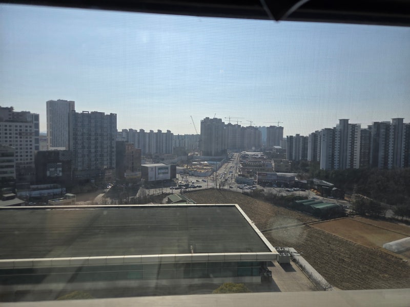 [건강 정보] 할머니 뇌경색을 발견하여 치료 중인 이야기 (뇌경색 전조 증상, 뇌경색과 치매, ....