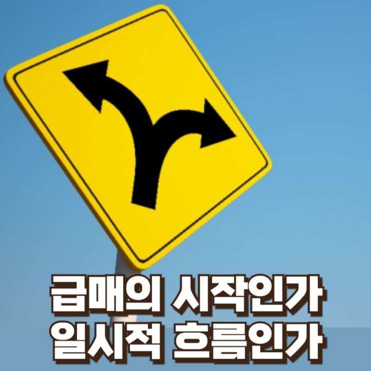 급매의 시작인가, 일시적 흐름인가 – 2026년 초 부동산 시장, 정부 대책 발표 이후 매물·가격 움직임 분석
