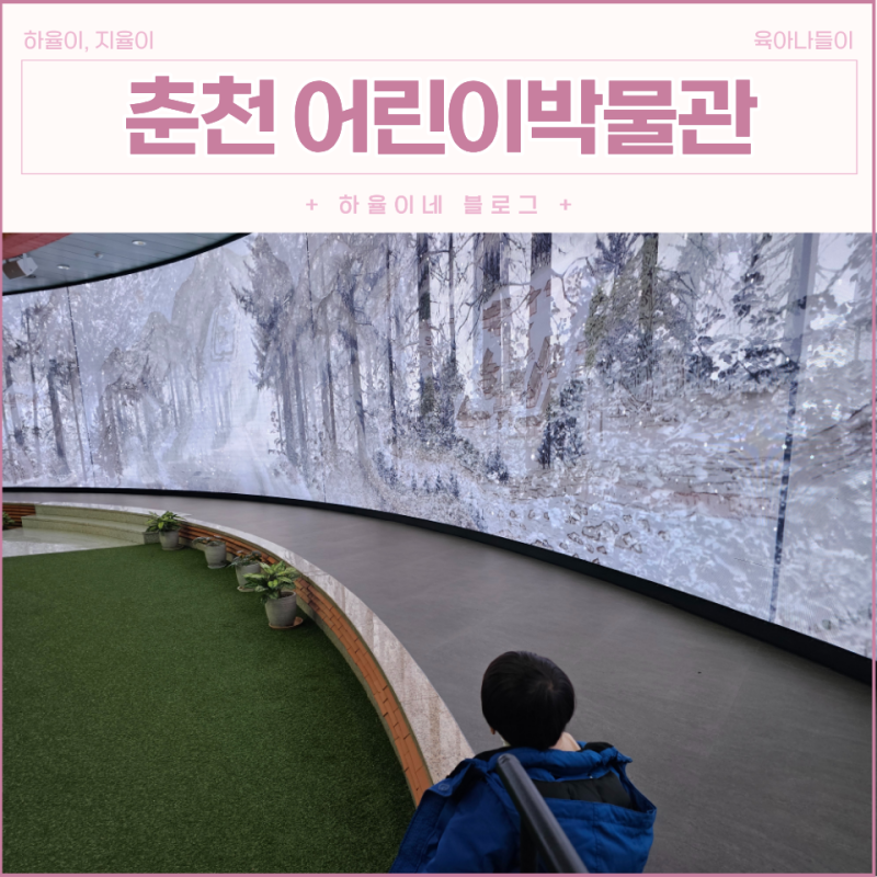 사진 8