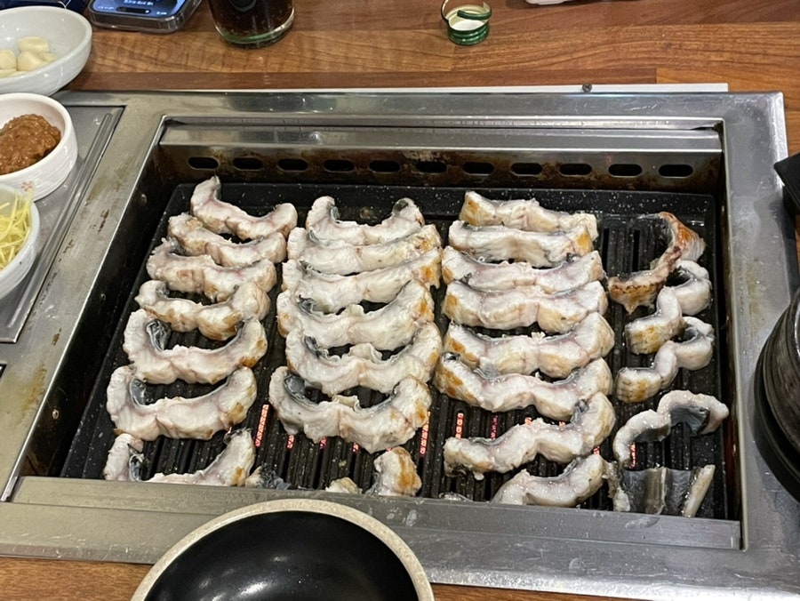 칭구장어 사진 6