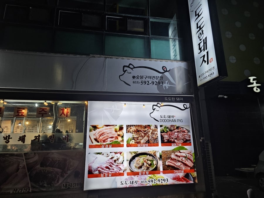 도도한돼지 사진 2