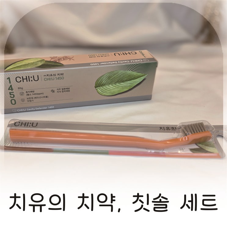  겨울방학 아들의 치아관리로 선택한 치유의칫솔 세트