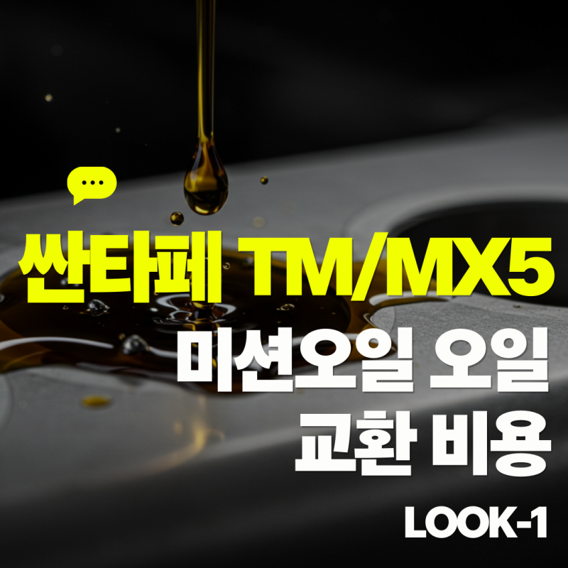 현대 싼타페 TM/MX5 미션오일 교환 비용, 35만원 vs 11만원?