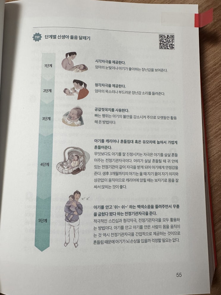  신생아 단계별 울음 달래기ㅣ김수연의 아기발달백과 책을 읽고|22주 태동일기