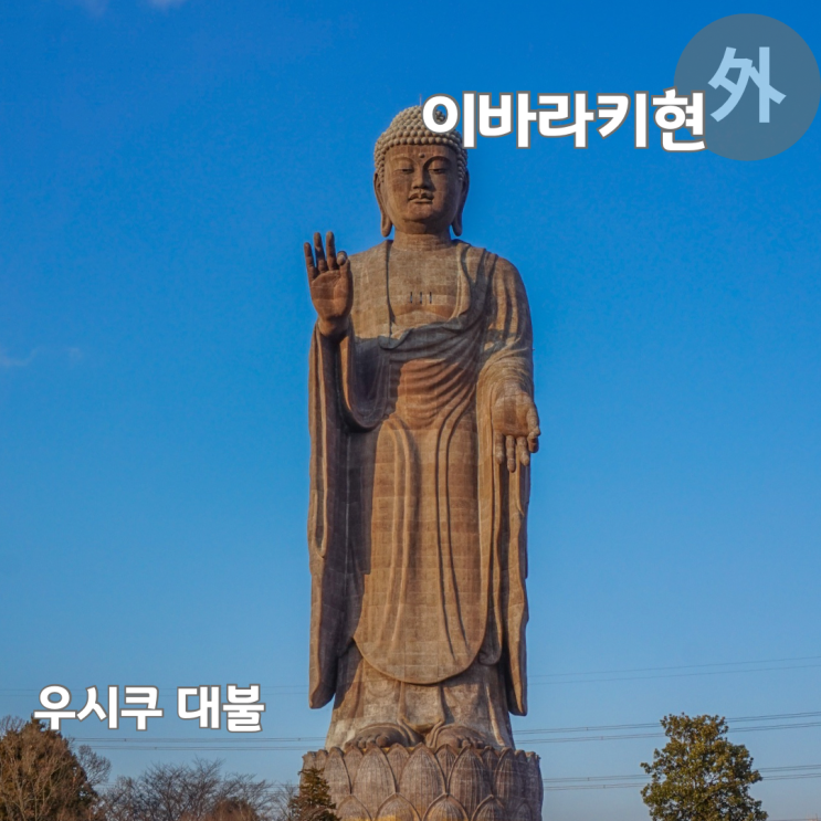  일본 소도시 이바라키현 여행 필수 코스 우시쿠 대불