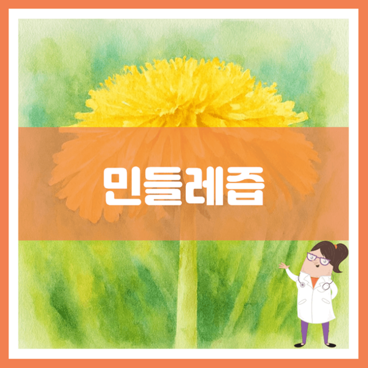  민들레즙 3가지 효능 섭취방법 부작용