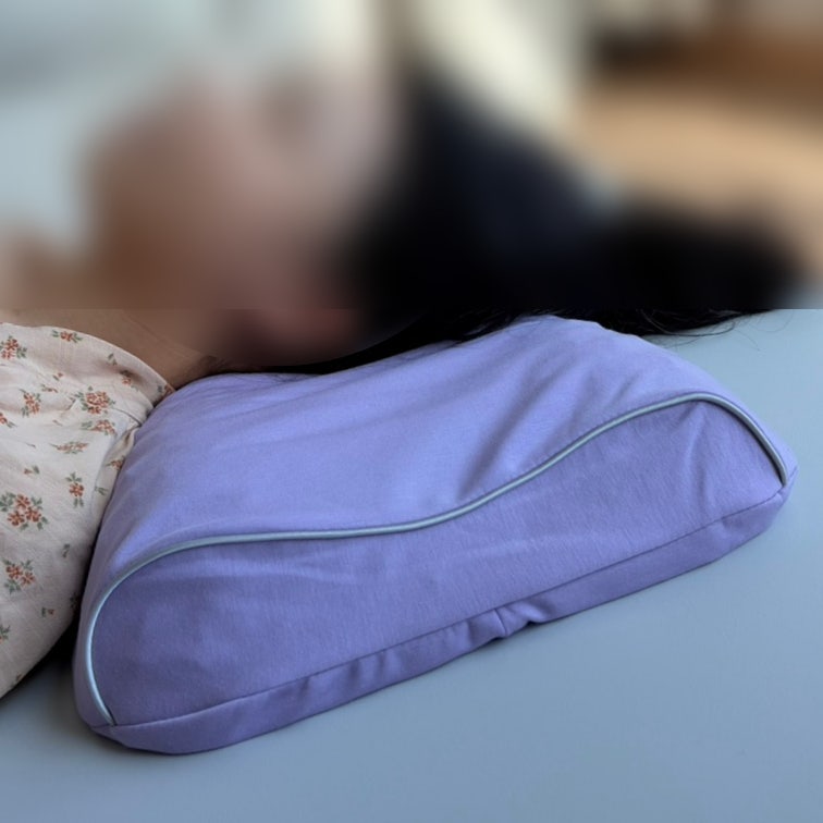 바디씨 에그젤 베개 내돈내산 단점 장점 후기