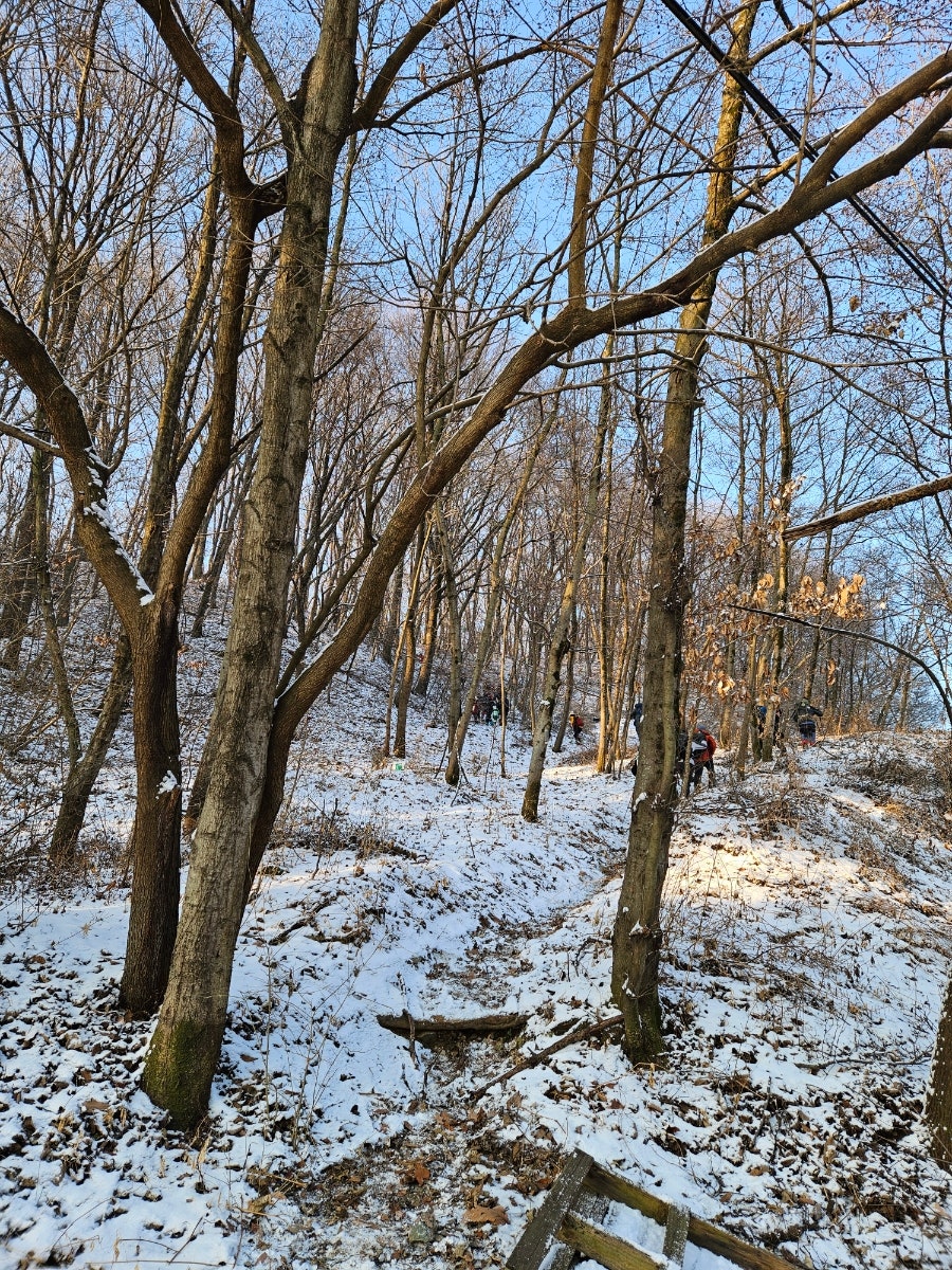 황골 사진 5