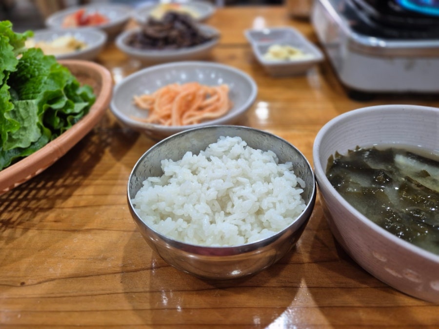 고망딱새 사진 4