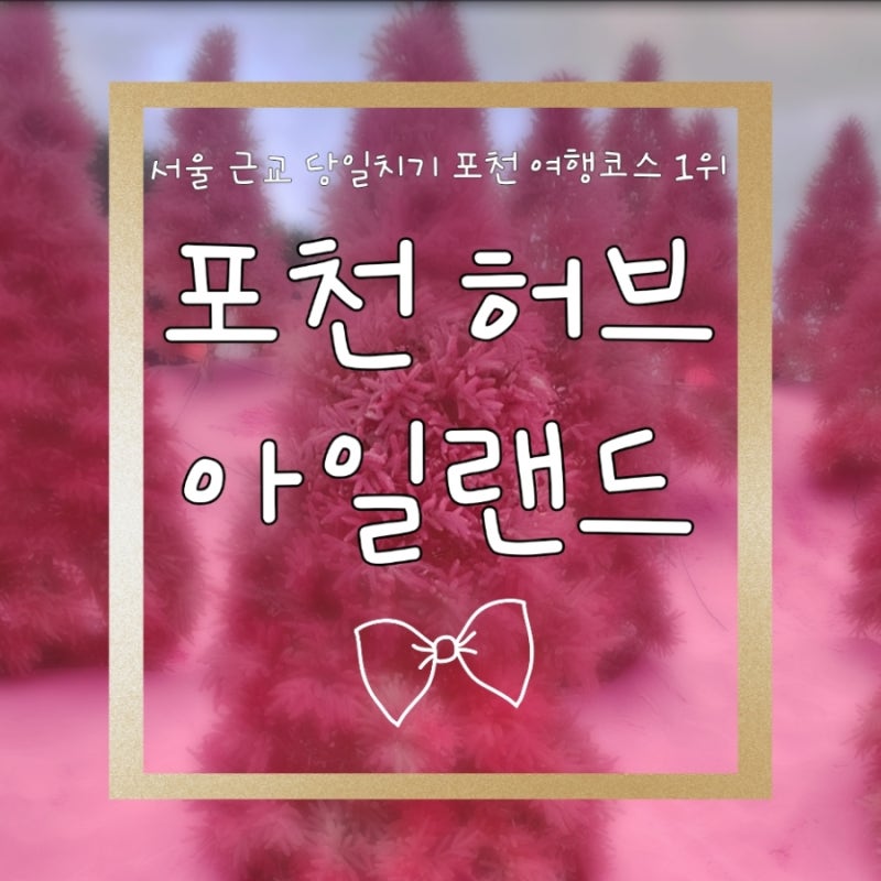 [포천 가볼만한곳] 허브아일랜드 입장료, 주차, 불빛축제 시간 완벽정리!