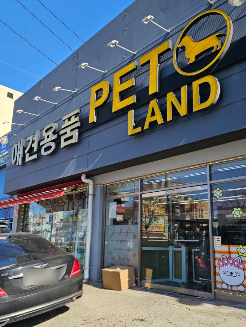사진 3