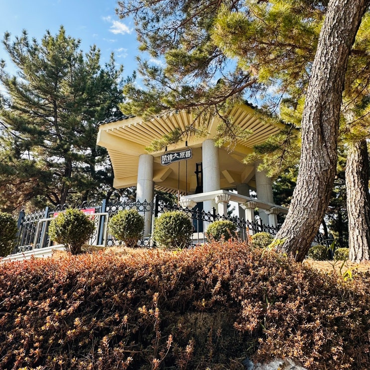  2026년 직장인 점심메뉴 추천 - 경남연구원 구내식당 주간식단(2.2~2.6)