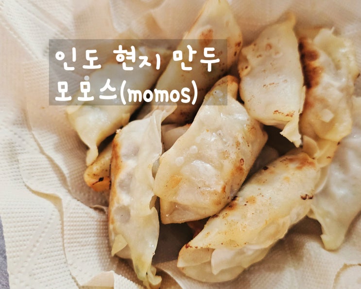  식재료편 | 인도에서 만두가 필요할 때, 현지 만두 모모스 MOMOS