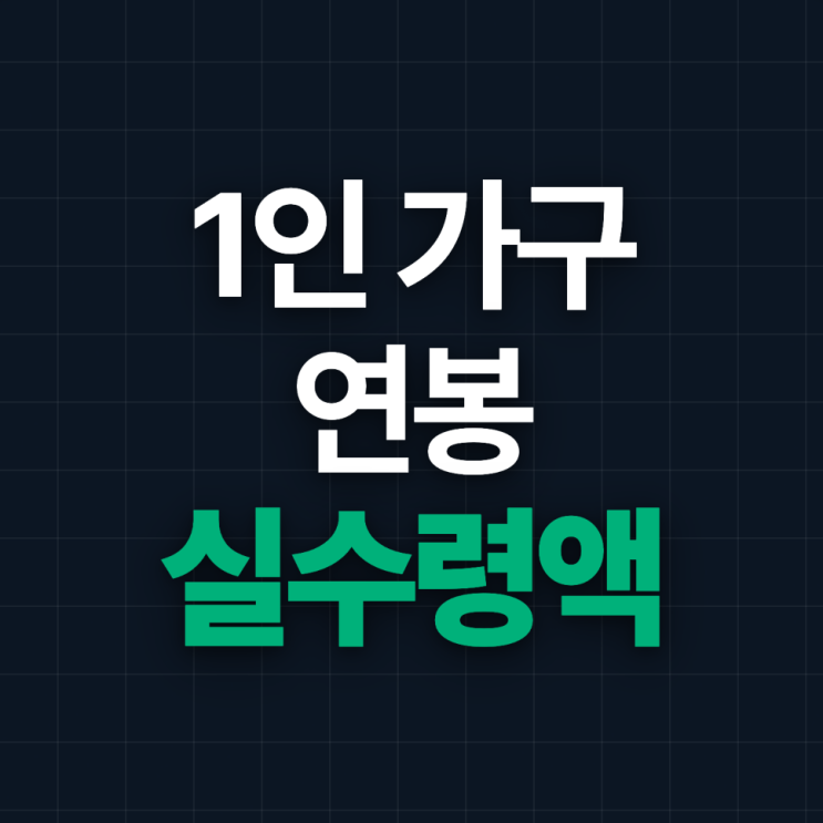  1인 가구 연봉 실수령액, 실제로는 얼마나 될까?