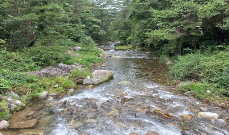 참새골 사진 5