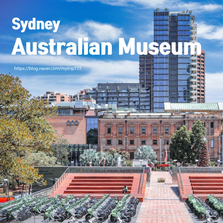  시드니 Australian Museum 정리 | 공룡부터 호주 자연사까지 한 번에