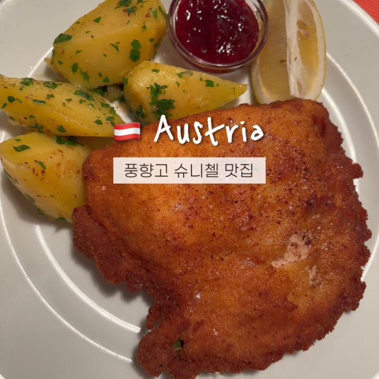 풍향고 슈니첼 뜻? 오스트리아 비엔나 맛집 top3 솔직후기!