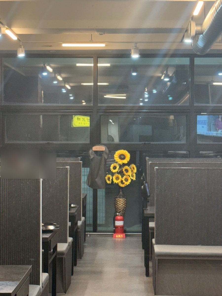 돈장군 사진 2