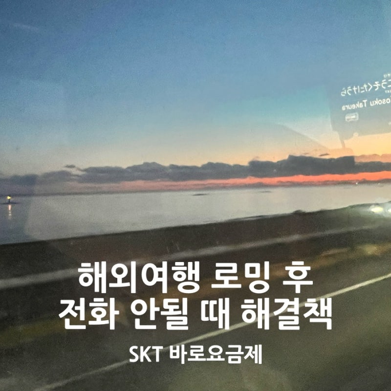 해외여행 로밍 baro 요금제로 바로 이용 중 해외이용제한 에러 메시지 해결 찐 후기