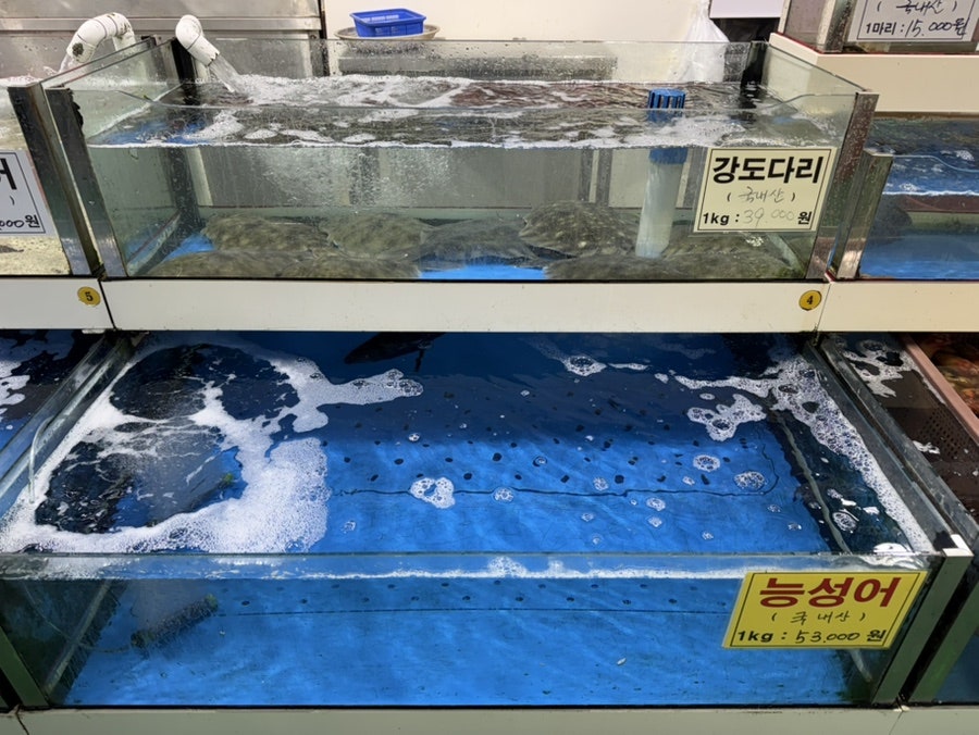 세종수산 사진 5