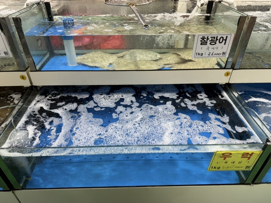 세종수산 사진 4