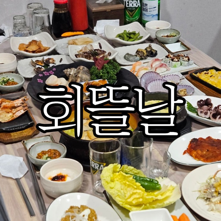  창원 상남동횟집추천 '회뜰날' 회식, 모임 장소 추천