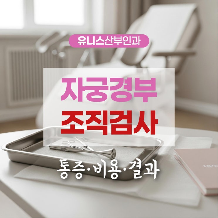  성수역자궁경부조직검사, 통증·비용·결과까지 정리