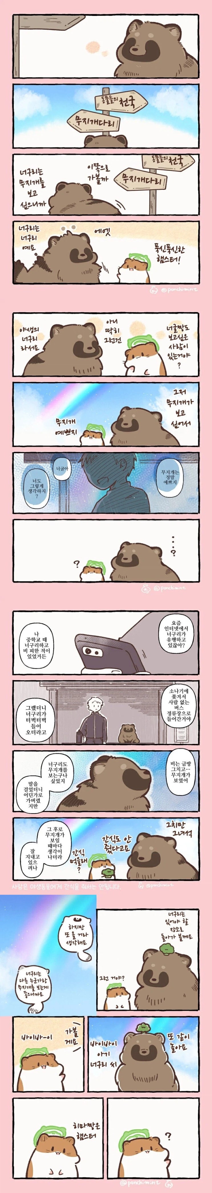  너구리와 무지개 다리.manhwa