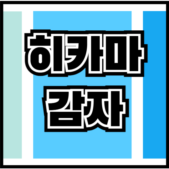히카마 하카마 감자 먹는법 효능 효과 총정리!