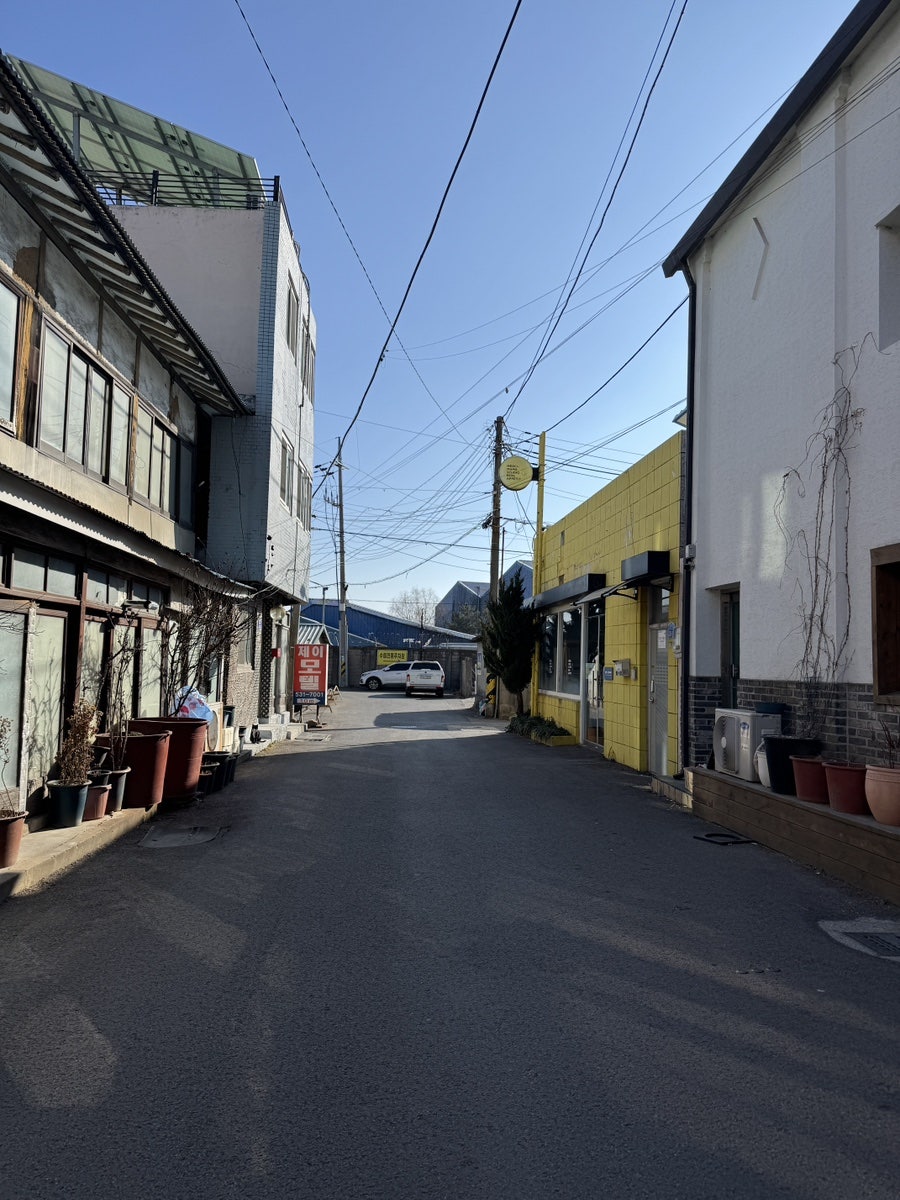 수림 사진 4
