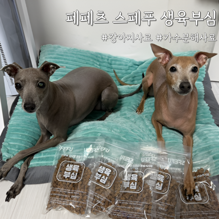  강아지사료 후기｜가수분해사료 찾는다면 [페페츠 스페푸 생육부심]