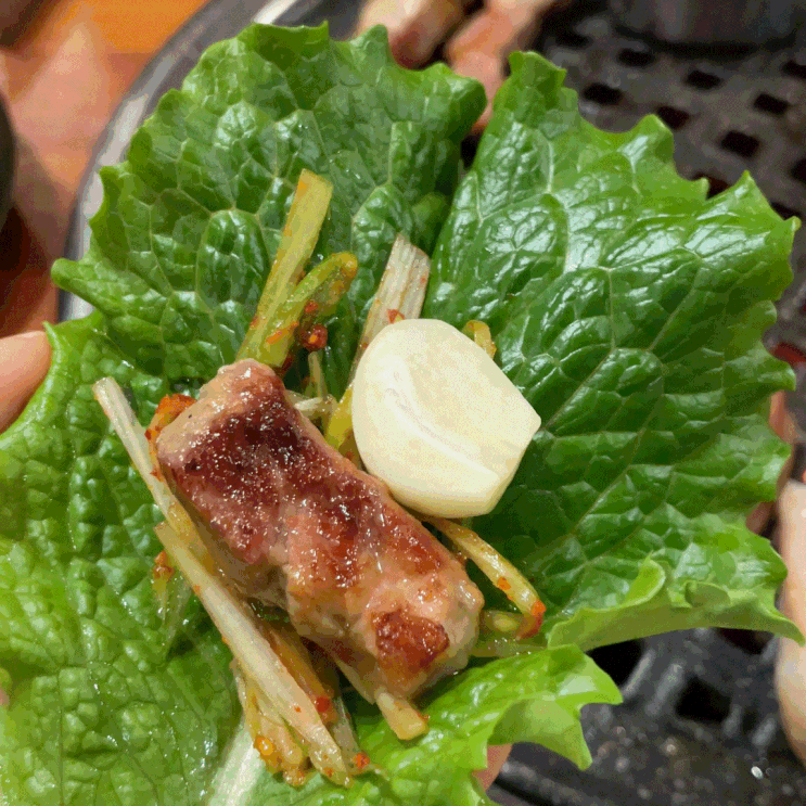  둔산동 고깃집 지리산산골농장 | 지리산 흑돼지가 주는 쫄깃함 여기서만 느낄수 있어요[대전 맛집]