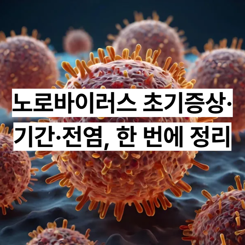 노로바이러스 초기증상·기간·전염, 한 번에 정리