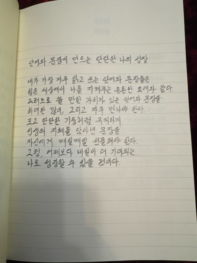  단어와 문장이 만드는 단단한 나의 성장
