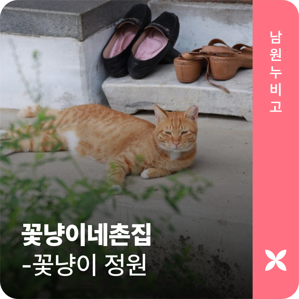 꽃냥이네 촌집 사진 1